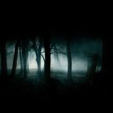 Lost