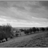 Printemps Pluvieux ...