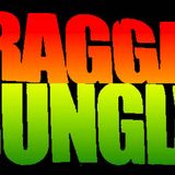ragga jungle mix by wanti