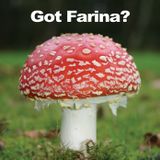 Mark Farina-Mushroom Jazz Promo djmix-Spring 2010