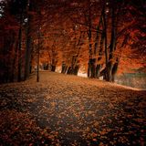 Podcast_October_2012