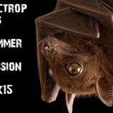 Electropolis Summer Session 2k15