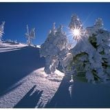 Winter Dub/Deep Edition
