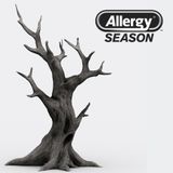 Allergy Season Radio No. 21