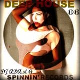 Deep House Sessions 06 Spinnin Records