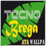 AtawAllpa-TecnoBrega-Set
