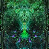 Dark Forest djset
