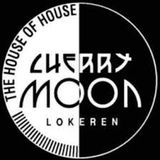 Yves Deruyter @ Cherry Moon - 07-01-1995
