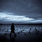 Theory of Light