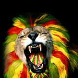 Ragga Ragga Boom Boom
