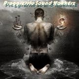 Proggressiv Sound Hakkerz (Promo Teil 2)
