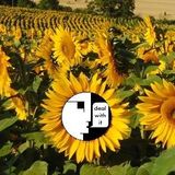 DJ The Craze's strollthroughthesunflowerfieldfollowingthewhiterabbitintoablackhole Summer Mixtape