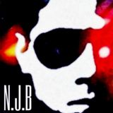 Betsie Larkin #AuthorClub - Trance Voices By N.J.B