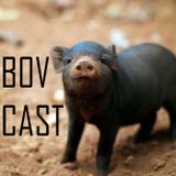 Beats op Vrijdag PODCAST | Seizoen 2 Aflevering 24 | Radio Haarlem 105
