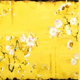 CATKIN - The first Summerday DJ Set