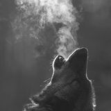 Howling March Tech House Set 2013