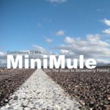 MINIMULE-ONTHEROAD