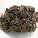 High Grade
