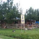 PROG_SUSHIDOGUETO_QUEBRAMAR_MIX_2016
