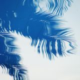 Under the Palm // Wiese Club // Kassel