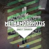 Metha - Methamorphozis 8 hours set taster mix