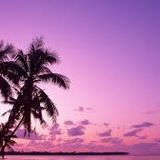 Psy Dub Lounge &Trance