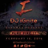 Pure Fire 17 #Mixtape #Rap n #RnB #HipHop Hits #iTunesPodcast @TheRealDJiGnite