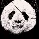 Panda Deep House