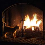 warm beats for cold nights