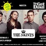 The Skints - Vale Earth Fair Promo Mix - (Reggae, Ska, Roots, Dub)