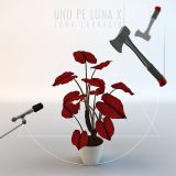 Toma Carnagiu - Unu pe lună 10