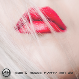 EDM & House Party Mix #2