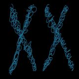 XANEXX 118BPM 17MIN MIX