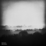 Saimonse – Dark Souls