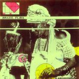BRAZIL FLAVA-DJ DubMasterSpillus