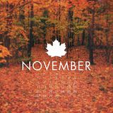 November Mixtape •2015•