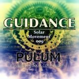 Solar Movement 009 - Guidance