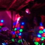 Salas Magic Forest 2012
