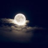 Green Reaction - Full Moon & The Mystic Reaction
