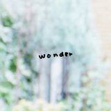 wonder