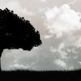 Longbaugh - You Sit In The Sun, I Sit In The Shade Mix