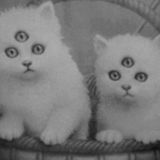 Izinger & Jamie Knox - Nachts sind alle Katzen