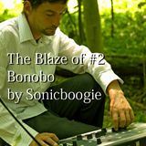 #2 Blaze of Bonobo