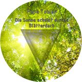 Die Sonne Scheint Durchs Blätterdach