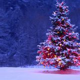 A Classical Christmas Story