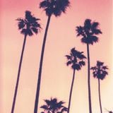 Hio - Bahamas mix