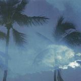 SUMMER HAZE