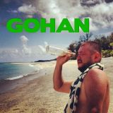 GOHAN魔閃光mix