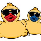 The Birds! radio show on All Fm 96.9 - 27/7/12