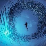 Moments in Deep